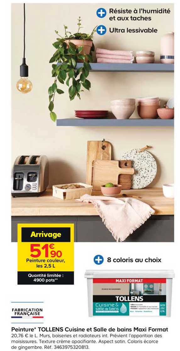 peinture tollens cuisine et salle de bains maxi format