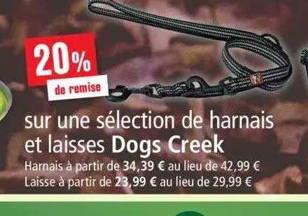 sélection de harnais et laisses dogs creek