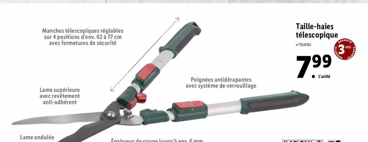 taille-haies télescopique