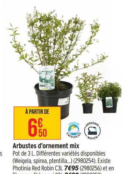 arbustes d'ornement mix