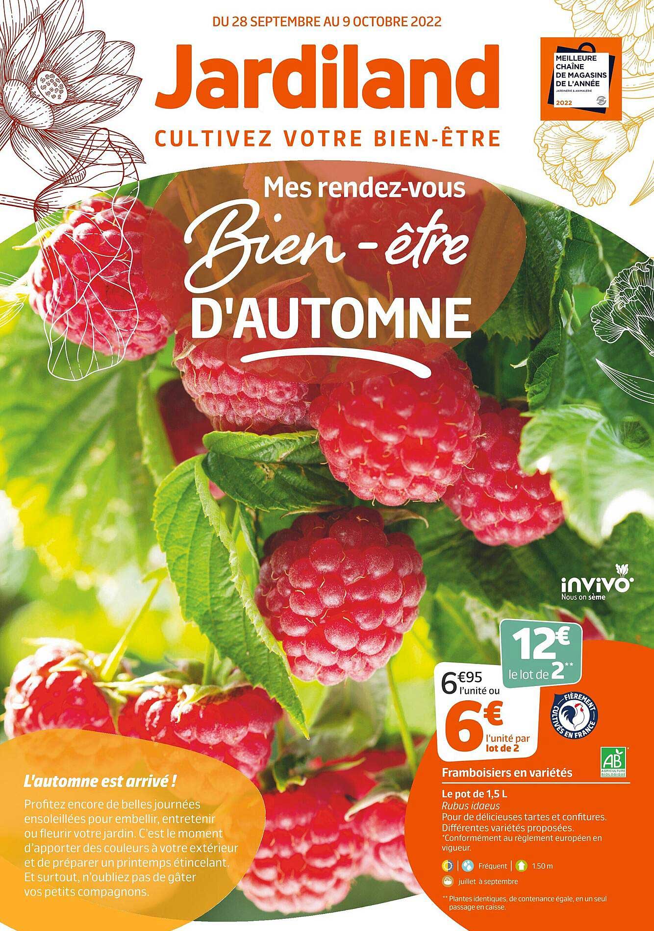 framboisiers en variétés invivo nous on sème