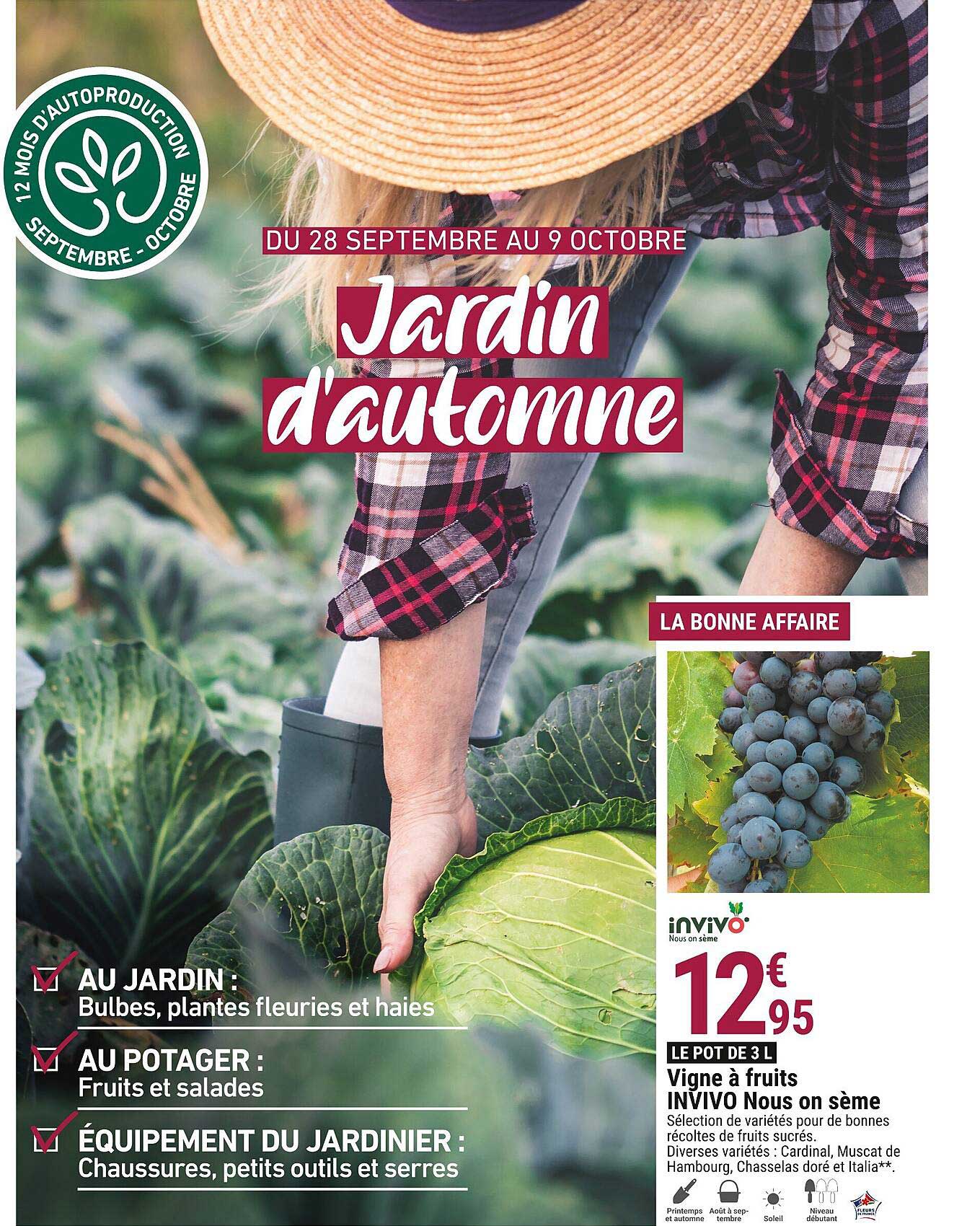 vigne à fruits invivo nous on sème