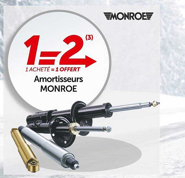 Amortisseurs Monroe