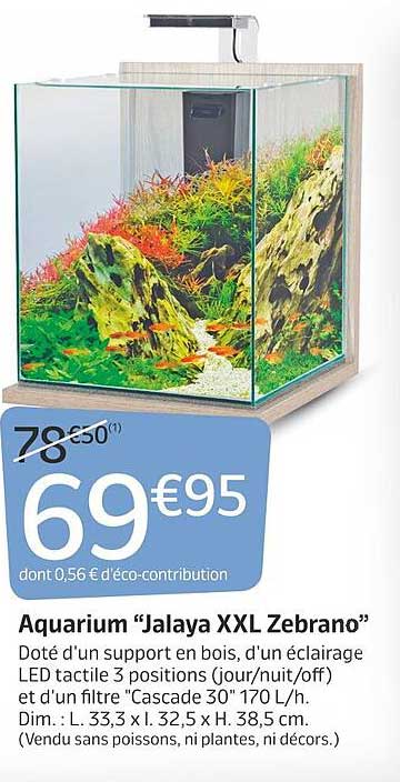 aquarium "jalaya xxl zebrano"