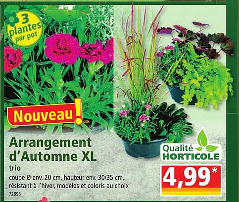 arrangement d'automne xl  trio