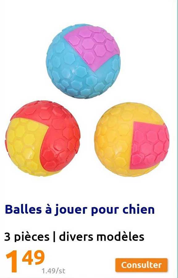 balles à jouer pour chien