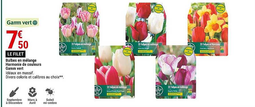 bulbes en mélange harmonie de couleurs gamm vert