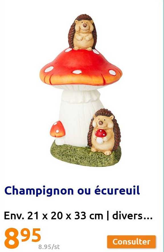 champignon ou écureuil