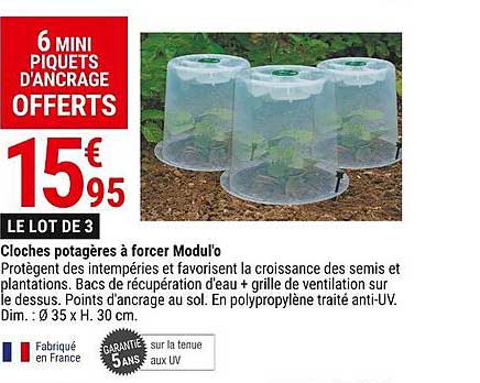 cloches potagères à forcer modul'o