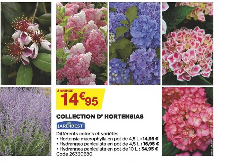 collection d'hortensias jardibest