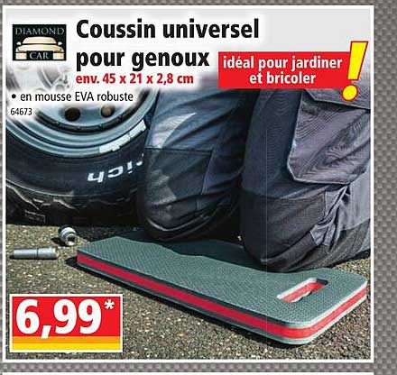 coussin universel pour genoux diamond car
