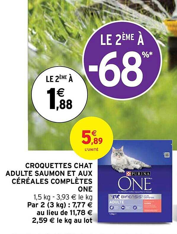 croquettes chat adulte saumon et aux céréales complètes one