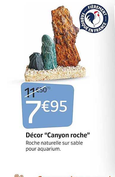 décor "canyon roche"