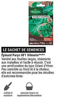 épinard parys hf1 vilmorin