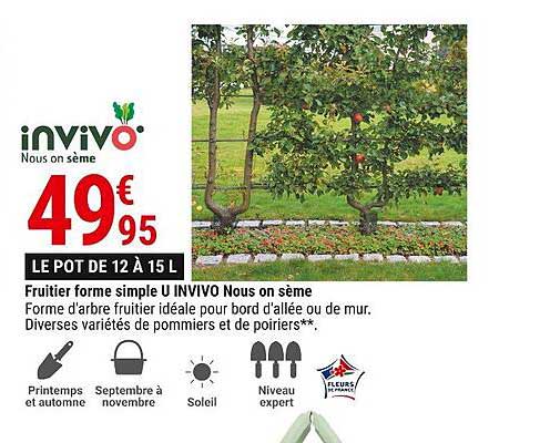 fruitier forme simple u invivo nous on sème