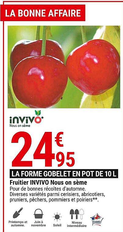 fruitier invivo nous on sème