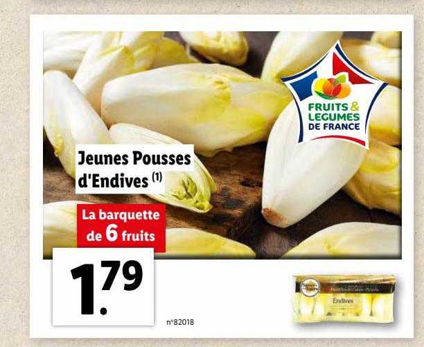 jeunes pousses d'endives