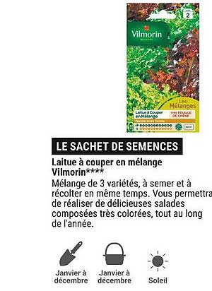 laitue à couper en mélange vilmorin