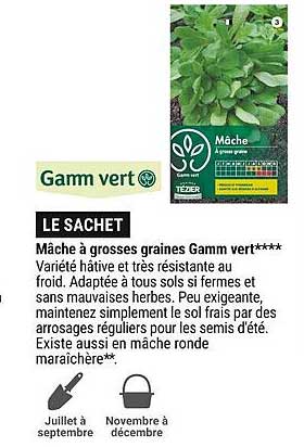 mâche à grosses graines gamm vert