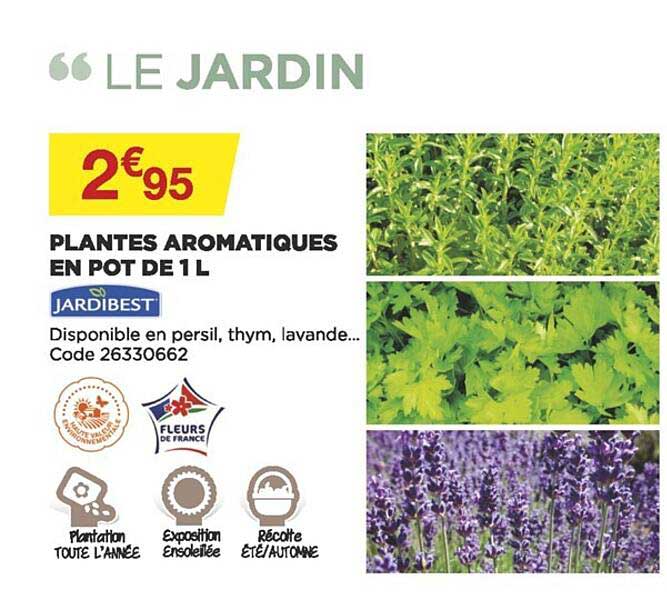 plantes aromatiques en pot de 1l jardibest