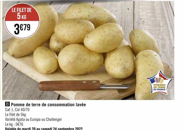 Pomme De Terre De Consommation Lavée