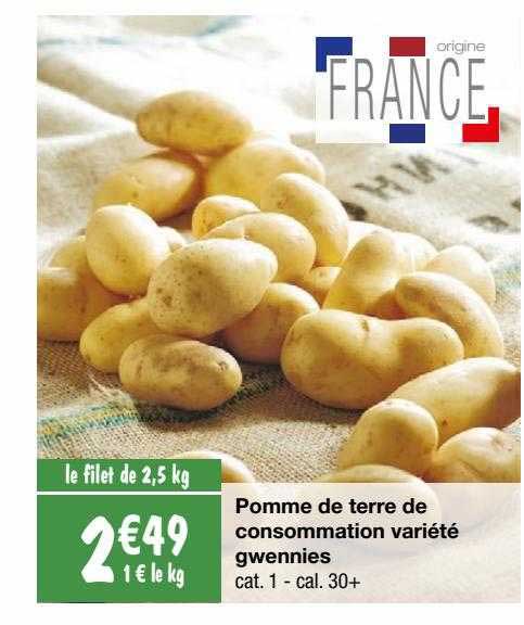 pomme de terre de consommation variété gwennies