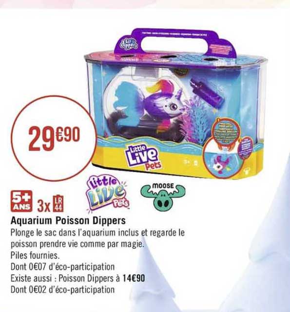 aquarium poisson dippers little live pets