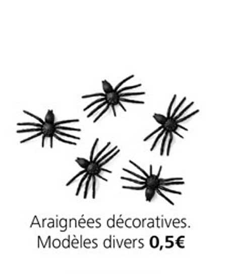 araignées décoratives