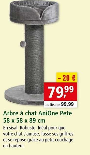 Arbre à Chat Anione Pete 58 X 58 X 89 Cm