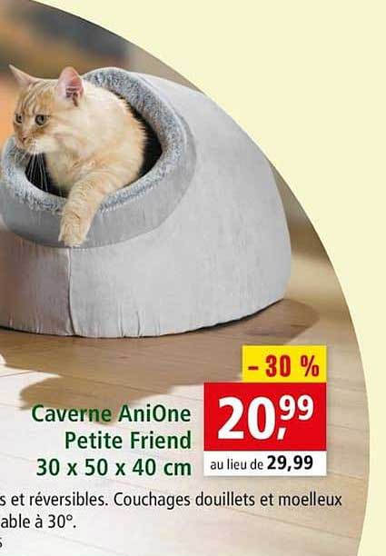 caverne anione petite friend