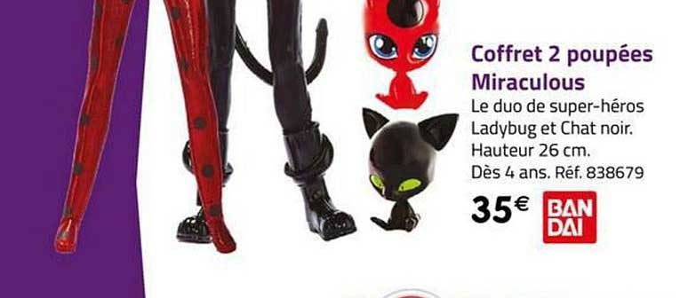 Coffret 2 Poupées Miraculous