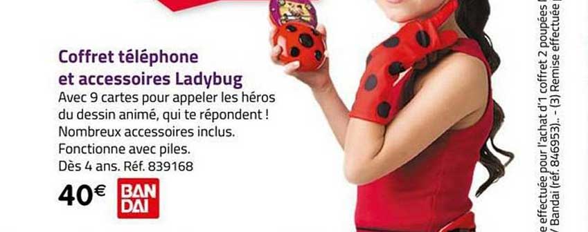 coffret téléphone et accessoires ladybug