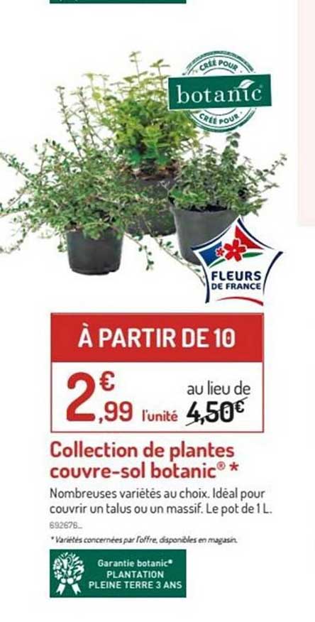 collection de plantes couvre sol botanic