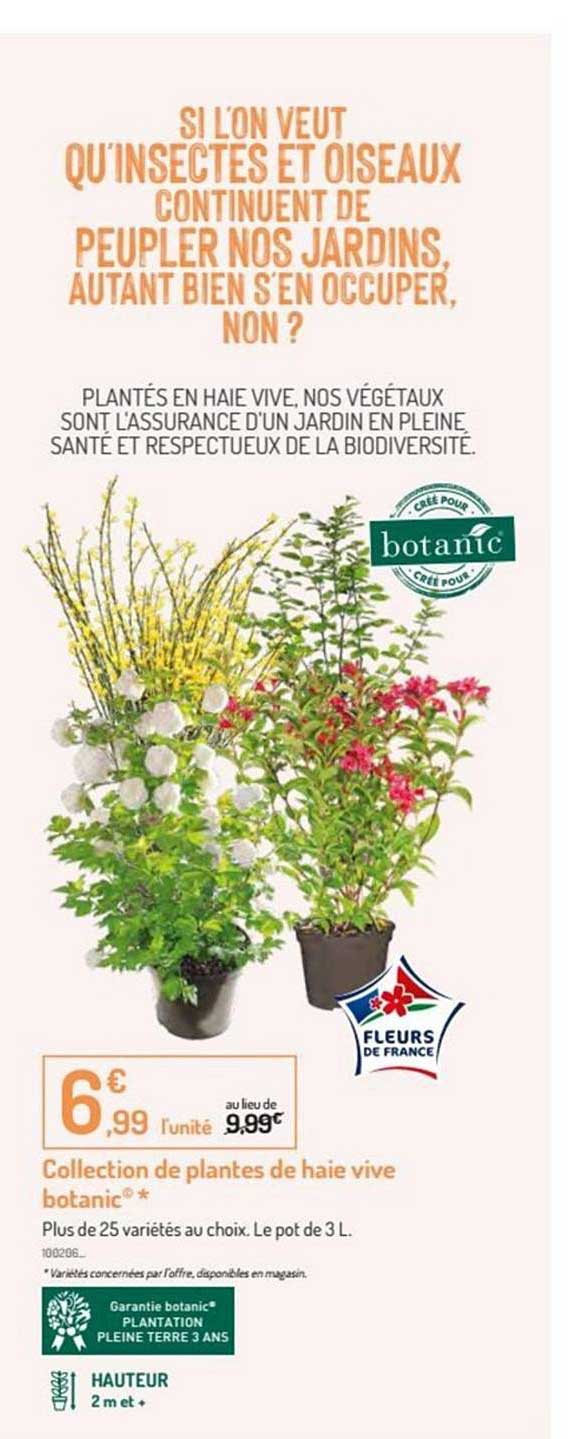 collection de plantes de haie vive botanic