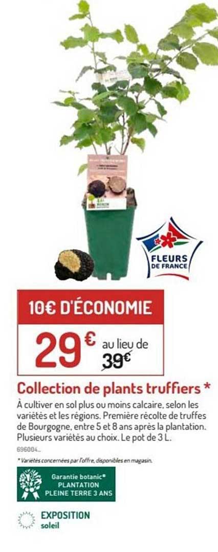 collection de plants truffiers
