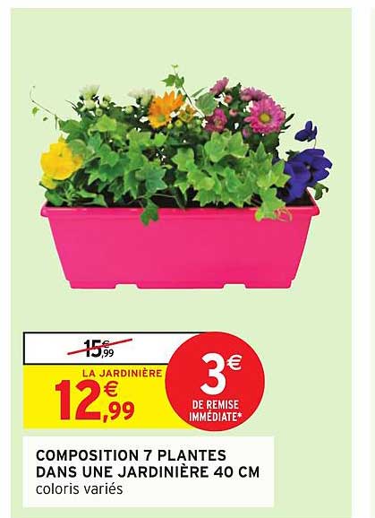 composition 7 plantes dans une jardinière 40 cm