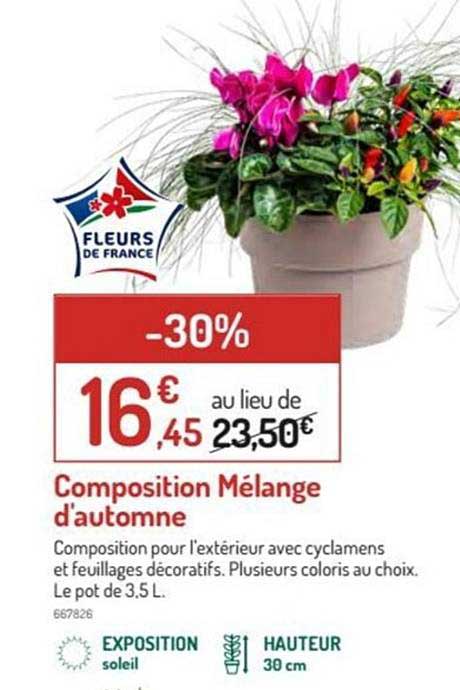 composition mélange d'automne