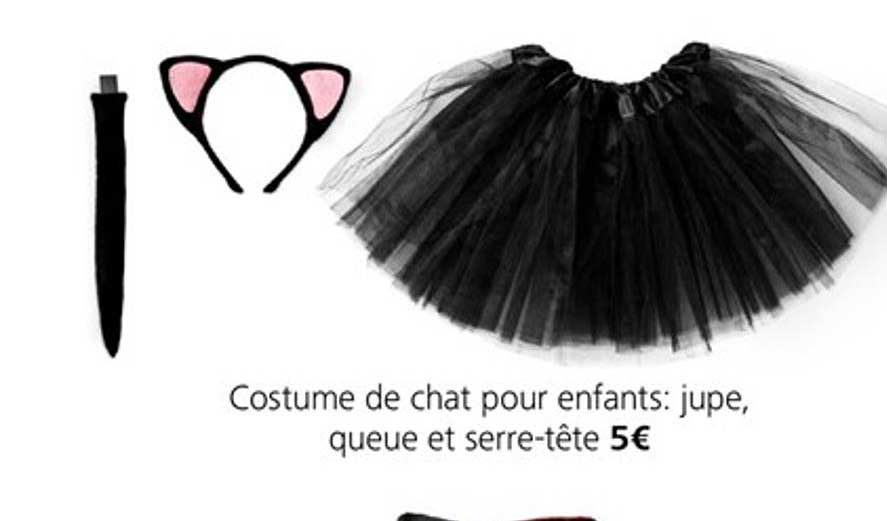 costume de chat pour enfants : jupe, queue et serre tête