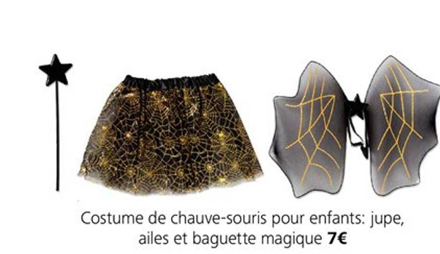 costume de chauve souris pour enfants : jupe, ailes et baguette magique