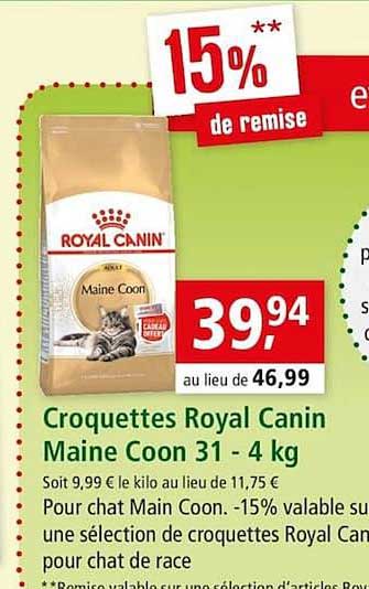 croquettes royal canin maine coon 31 4 kg 15% de remise