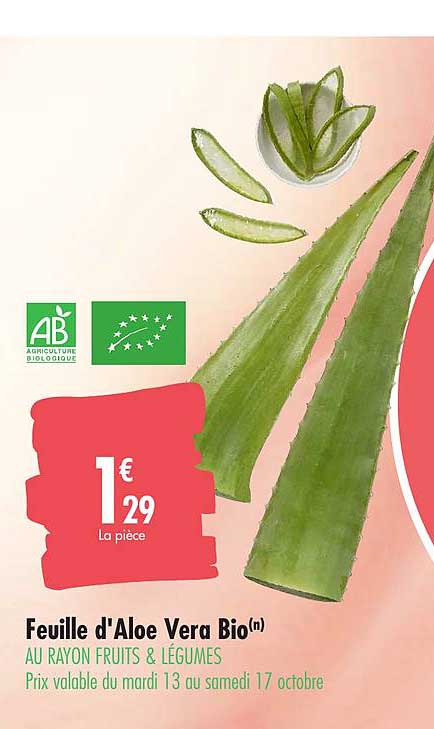 feuille d'aloe vera bio