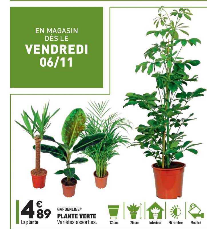Gardenline Plante Verte