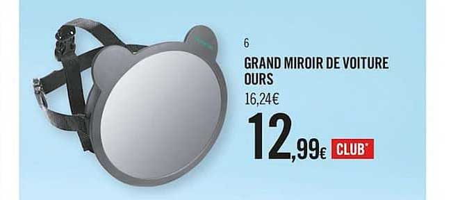 Grand Miroir De Voiture Ours