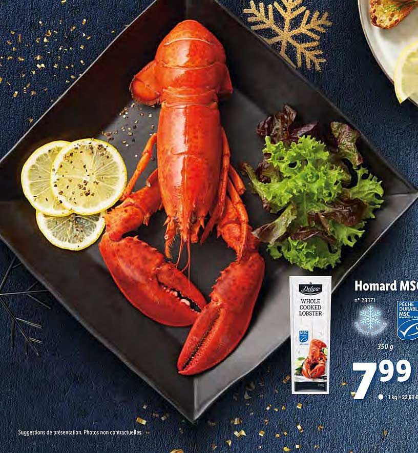 Homards Msc
