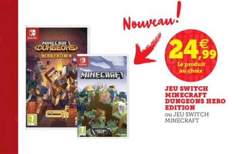 jeu switch minecraft dungeons hero edition