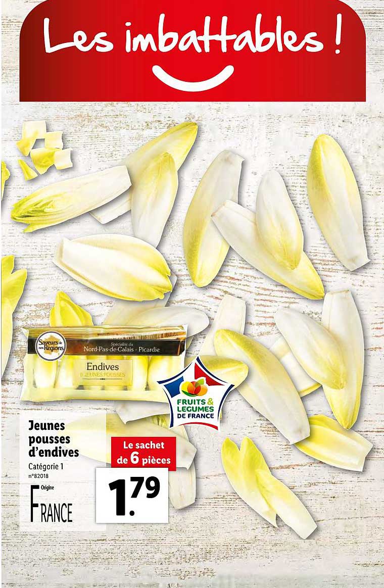 jeunes pusses d'endives