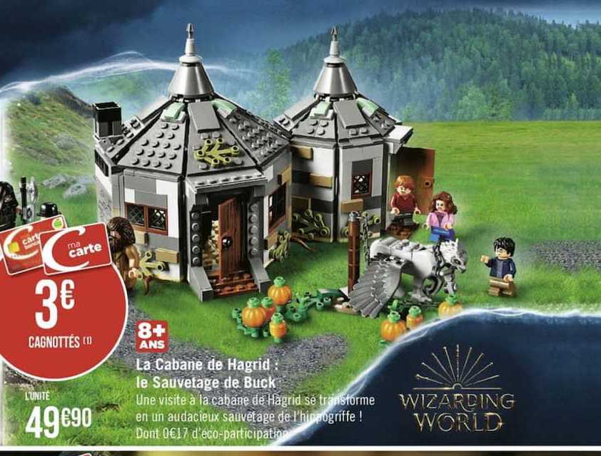 la cabane de hagrid le sauvetage de buck