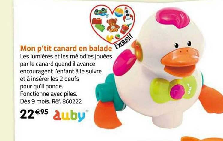 mon p'tit canard en balade auby