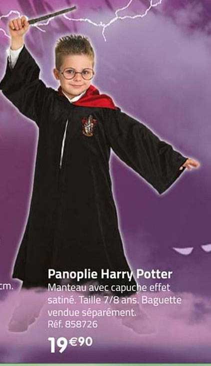 Panoplie Harry Potter