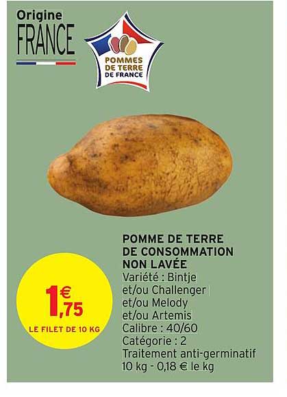 Pomme De Terre De Consommation Non Lavée